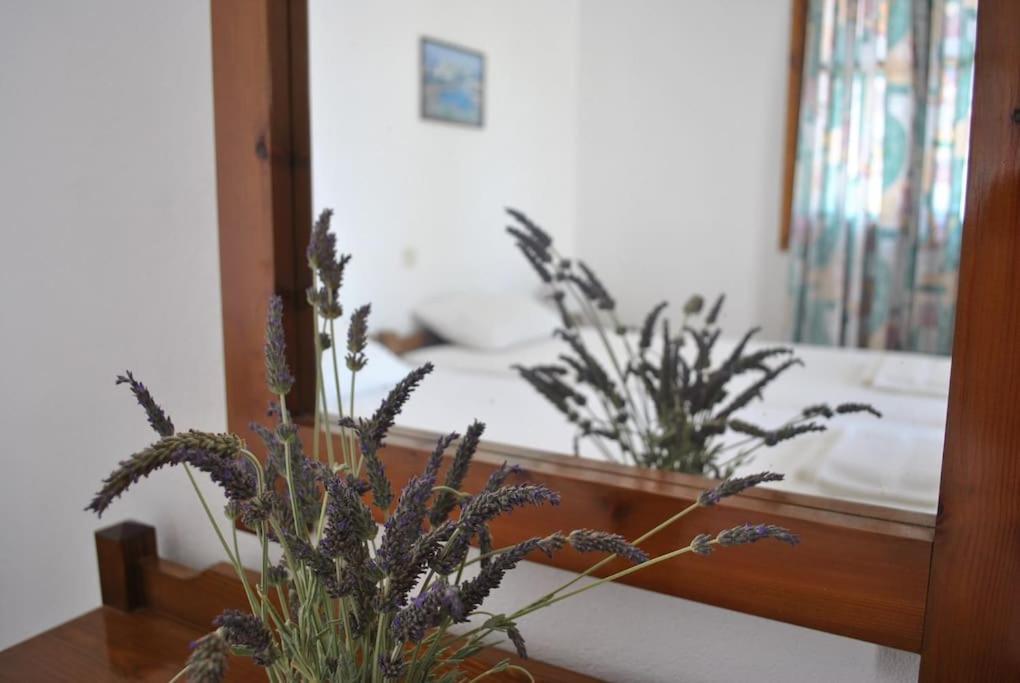 Antigoni Apartments 'Lavender Room' Milatos Exterior foto